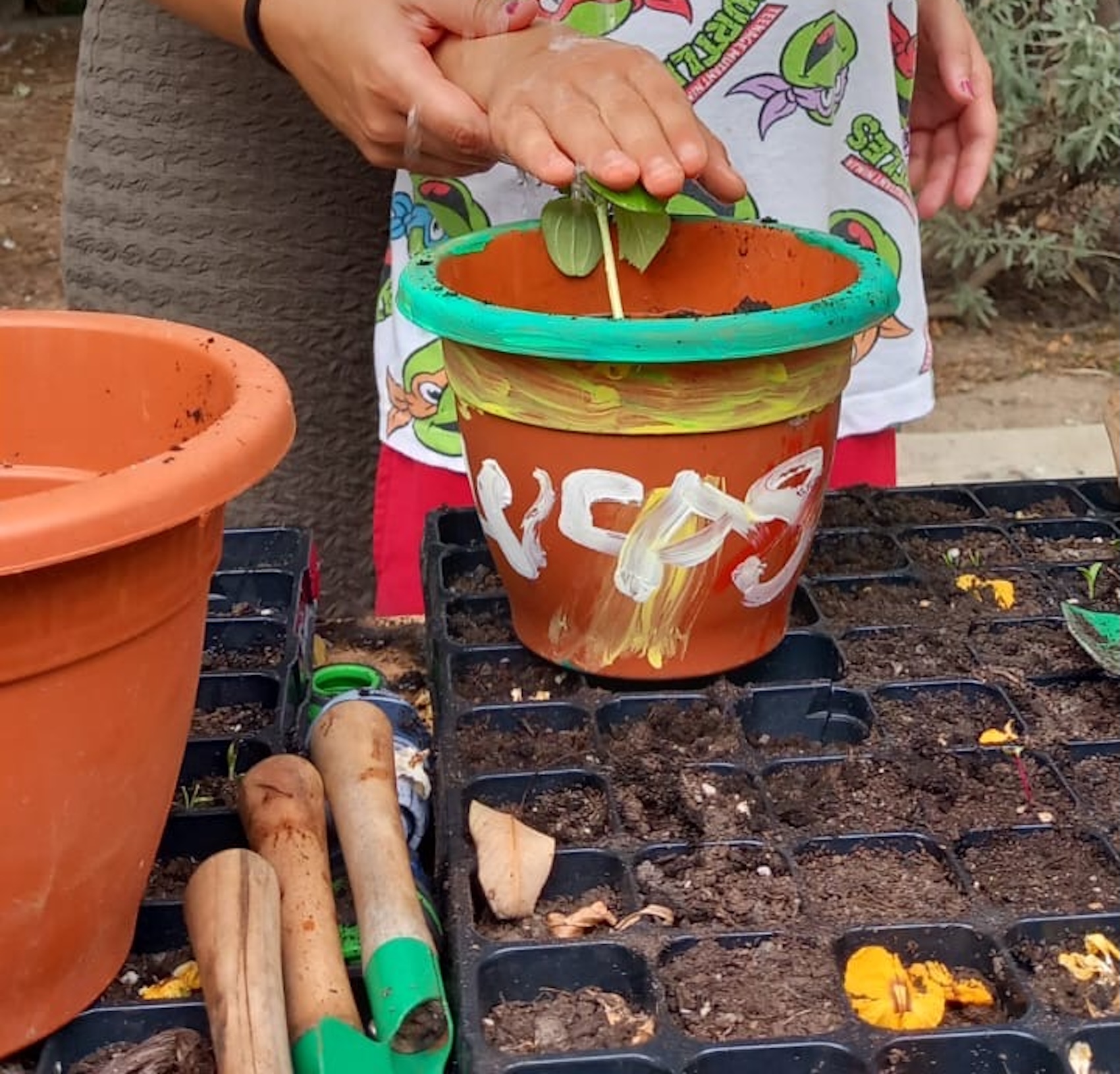 b424462a-7535-470d-ba95-9432913df368